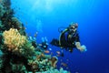 Scuba Diver Royalty Free Stock Photo