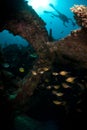 Scuba diver above shipwreck Royalty Free Stock Photo