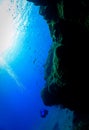Scuba diver beautiful underwater landscape and scenery