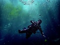 Scuba diver with bubbles diving in the clear blue waters of Orange Grove Sink, Wes Skiles Peacock Springs State Park