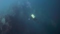 Scuba diver cameramen swimming deep underwater in Lake Baikal.