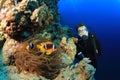 Scuba Diver and Clownfish