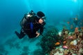 Scuba diver by coral reef.