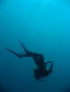 Scuba diver descending sipadan island