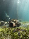 A scuba diver diving underwater near an underside pier with sunlight in the water.