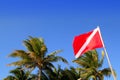 Scuba diver down flag tropical palm trees blue sky Royalty Free Stock Photo