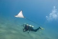 Scuba diver and eagle ray. Royalty Free Stock Photo