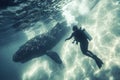 Scuba diver encounter with giant whale underwater Royalty Free Stock Photo
