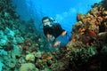 Scuba Diver explores Coral Reef