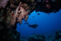 Soft Coral, Cave, and Scuba Diver in Palau Royalty Free Stock Photo