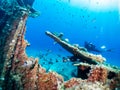 A scuba diver explores a sunken shipwreck Royalty Free Stock Photo