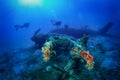 A scuba diver explores a sunken world war two fighter propeller airplane