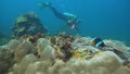 Scuba Diver underwater. Philippines, Mindoro. Royalty Free Stock Photo