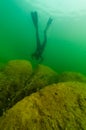 SCUBA diver exploring a cloudy inland lake and boulders with a diving torch