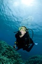 Scuba diver exploring undersea Royalty Free Stock Photo