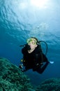 Scuba diver exploring undersea