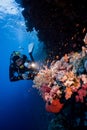 Scuba diver with a flashlight illuminating colorful corals deep in the sea Royalty Free Stock Photo