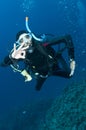 Scuba diver gies OK sign Royalty Free Stock Photo