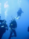 Scuba diver group lesson Royalty Free Stock Photo
