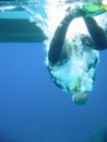 Scuba diver hitting water