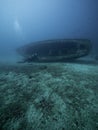 Scuba diver observes abandoned ship covered with seaweed