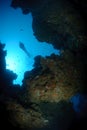 Scuba diver over underwater canyon Royalty Free Stock Photo