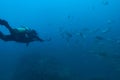 Scuba diver recording underwater video