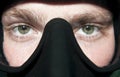 Scuba diver's eyes in mask Royalty Free Stock Photo