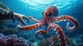 a scuba diver's hand reaching out to touch a curious octopus Royalty Free Stock Photo