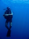 Scuba diver safety stop philippines