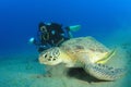 Scuba Diver and Sea Turtle Royalty Free Stock Photo