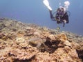 A scuba diver with a sea turtle