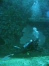 Scuba diver seabed wreck explorer Royalty Free Stock Photo