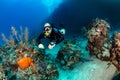 SCUBA Diver in sidemount on a reef Royalty Free Stock Photo