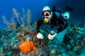 SCUBA Diver in sidemount on a reef Royalty Free Stock Photo