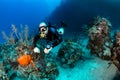 SCUBA Diver in sidemount on a reef Royalty Free Stock Photo