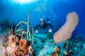 SCUBA Diver in sidemount on a reef Royalty Free Stock Photo