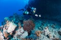 SCUBA Diver in sidemount on a reef Royalty Free Stock Photo