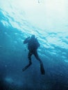 Scuba Diver Silhouettes Blue Water Royalty Free Stock Photo