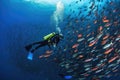 scuba diver swimming among schools of colorful fish, fins and masks in view