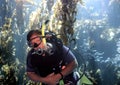 Scuba Diver Swims Through Kelp Forest off California Coast