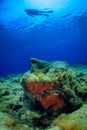 A scuba diver swims over a Mediterranean seabed