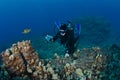 Scuba Diver taking a shot of the Reef Royalty Free Stock Photo