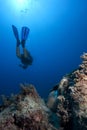 Scuba Diver underwater with antiqueancient amphora Royalty Free Stock Photo