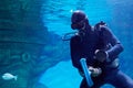 Scuba Diver Underwater Near To Sunken Sailing Ship In Oceanarium With Suction Cup And Brush For Cleaning Glass