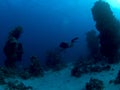 Scuba diver Underwater in red sea Royalty Free Stock Photo