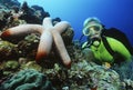 Scuba Diver Watching Large Starfish