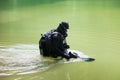 Scuba diver wearing full face mask