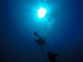 Scuba Divers And Air Bubbles Against The Sunlight