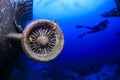 SCUBA divers around the jet engine of an underwater aircraft wreck